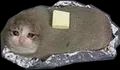 kitty-cri-potato